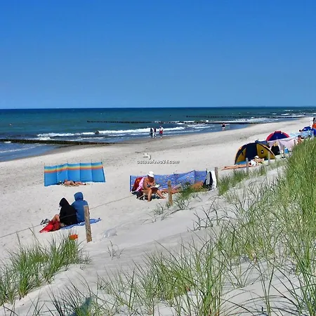 M4 Alexandra Graal-Mueritz