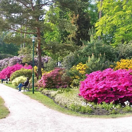 M4 Alexandra Graal-Mueritz