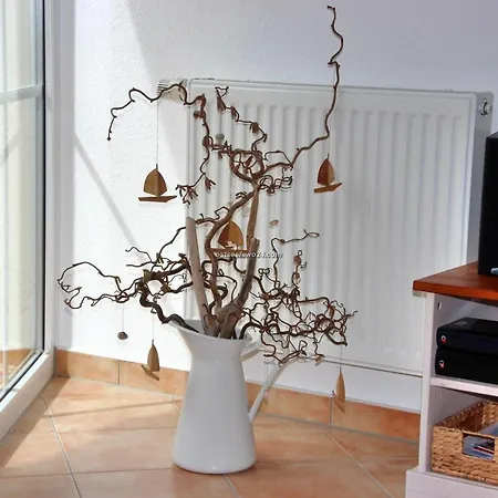 Appartement M4 
